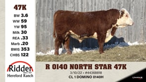 Lot #47K - R 0140 NORTH STAR 47K