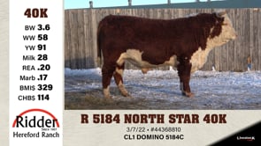 Lot #40K - R 5184 NORTH STAR 40K