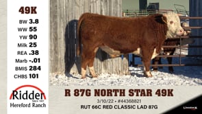Lot #49K - R 87G NORTH STAR 49K