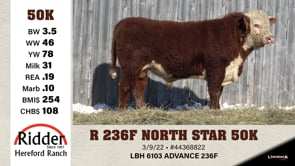 Lot #50K - R 236F NORTH STAR 50K