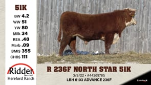Lot #51K - R 236F NORTH STAR 51K