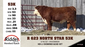 Lot #53K - R 623 NORTH STAR 53K