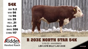 Lot #54K - OUT - R 203E NORTH STAR 54K