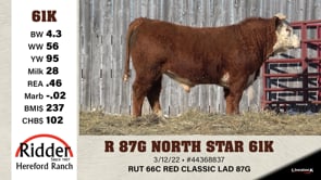 Lot #61K - R 87G NORTH STAR 61K