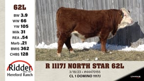 Lot #62L - R 1117J NORTH STAR 62L