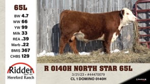 Lot #65L - R 0140H NORTH STAR 65L