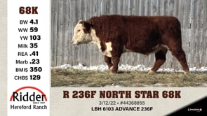 Lot #68K - R 236F NORTH STAR 68K