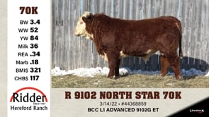 Lot #70K - R 9102 NORTH STAR 70K