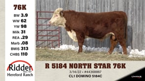 Lot #76K - R 5184 NORTH STAR 76K