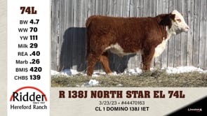 Lot #74L - R 138J NORTH STAR EL 74L