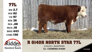 Lot #77L - R 0140H NORTH STAR 77L