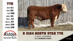 Lot #77K - R 5184 NORTH STAR 77K