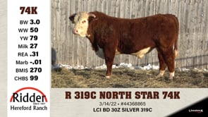 Lot #74K - R 319C NORTH STAR 74K
