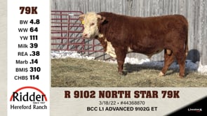 Lot #79K - R 9102 NORTH STAR 79K