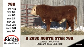 Lot #78K - R 203E NORTH STAR 78K