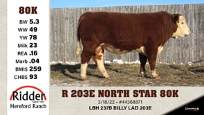 Lot #80K - OUT - R 203E NORTH STAR 80K