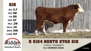 Lot #81K - R 5184 NORTH STAR 81K