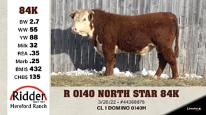 Lot #84K - R 0140 NORTH STAR 84K