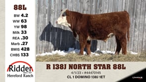 Lot #88L - R 138J NORTH STAR 88L