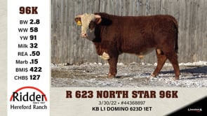 Lot #96K - R 623 NORTH STAR 96K