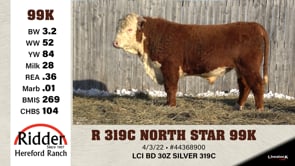 Lot #99K - R 319C NORTH STAR 99K