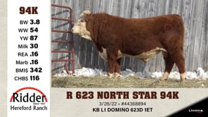 Lot #94K - R 623 NORTH STAR 94K