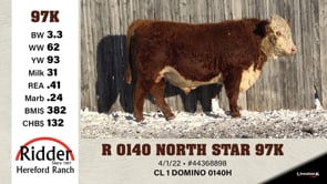 Lot #97K - R 0140 NORTH STAR 97K