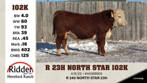 Lot #102K - R 23H NORTH STAR 102K