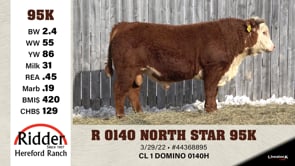 Lot #95K - R 0140 NORTH STAR 95K