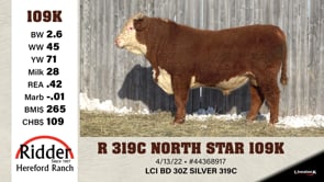 Lot #109K - R 319C NORTH STAR 109K