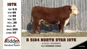 Lot #107K - R 5184 NORTH STAR 107K