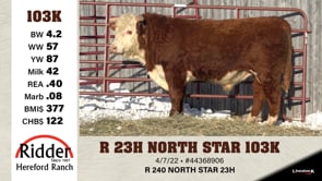 Lot #103K - R 23H NORTH STAR 103K