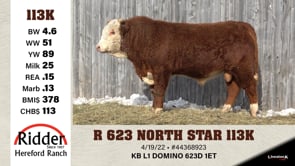 Lot #113K - R 623 NORTH STAR 113K