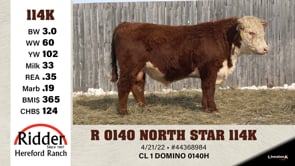 Lot #114K - R 0140 NORTH STAR 114K