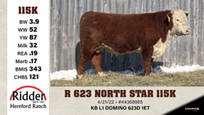Lot #115K - R 623 NORTH STAR 115K