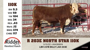 Lot #110K - R 203E NORTH STAR 110K