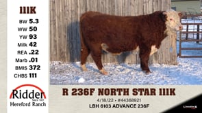 Lot #111K - R 236F NORTH STAR 111K