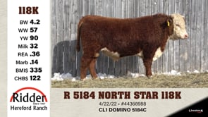 Lot #118K - R 5184 NORTH STAR 118K