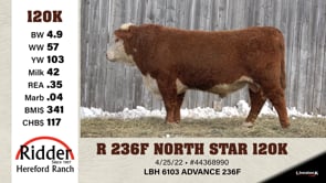 Lot #120K - R 236F NORTH STAR 120K