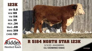 Lot #123K - R 5184 NORTH STAR 123K