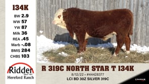 Lot #134K - R 319C NORTH STAR T 134K