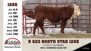 Lot #128K - R 623 NORTH STAR 128K