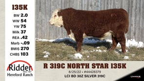 Lot #135K - R 319C NORTH STAR 135K