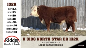 Lot #132K - R 319C NORTH STAR ER 132K