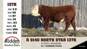 Lot #137K - R 0140 NORTH STAR 137K