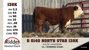 Lot #138K - R 0140 NORTH STAR 138K