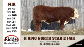 Lot #141K - R 0140 NORTH STAR E 141K