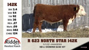 Lot #142K - OUT - R 623 NORTH STAR 142K