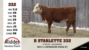 Lot #332 - R STARLETTE 332