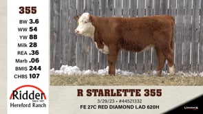 Lot #355 - R STARLETTE 355